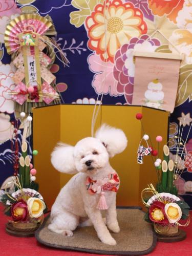 20240123あんちゃん